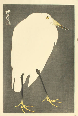 Heron