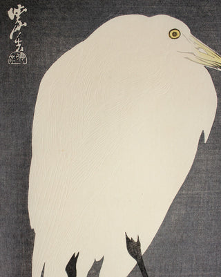 Reiger