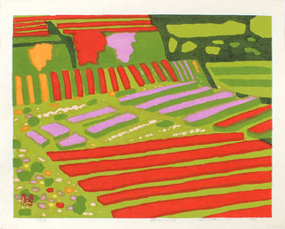 Campos de tulipanes de Amabe