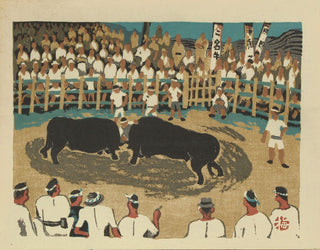 Fighting bulls in Iyo