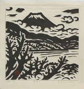 Fuji C