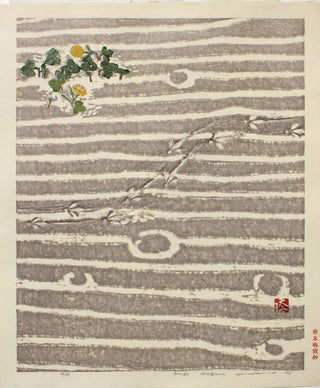 Flower and ripple marks