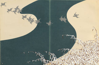 Pluviers et herbes enneigées