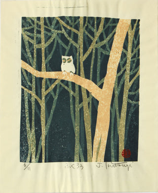 Owl