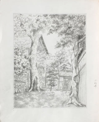 Jardín con árboles