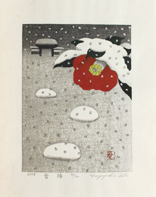 Snow camelia