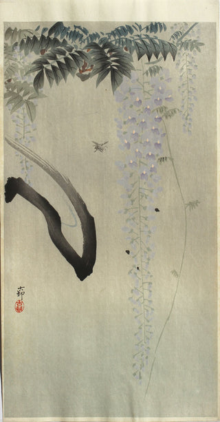 Insect Next to a wisteria