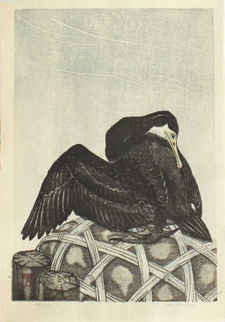 Cormorant