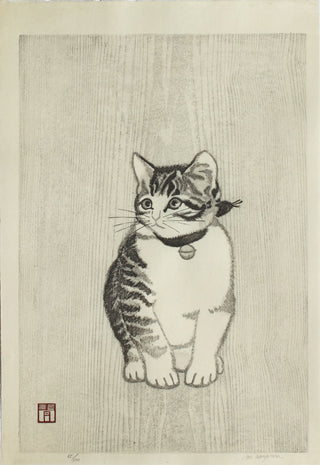 Kitten