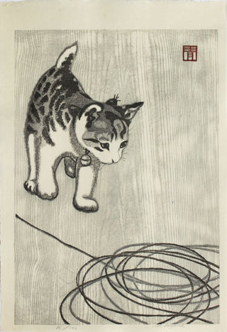 Chaton avec de la laine lâche