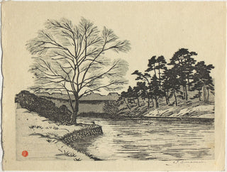 Willow near Benkei bori Moat