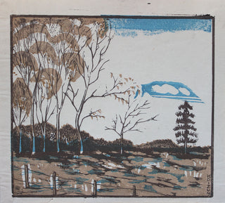 Dood veld in de winter