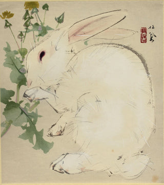 Rabbit