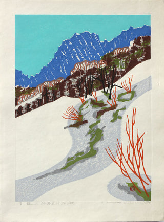 Sneeuwlandschap