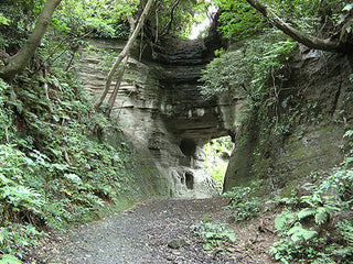 Shakada Kiritoshi, Kamakura
