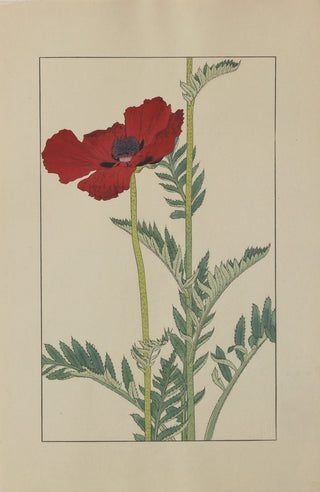 Poppy ("Devil")