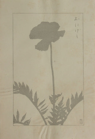 Poppy ("Devil")