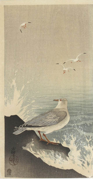 Meeuwen aan de kust