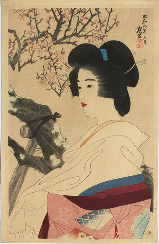 Japanische Aprikose