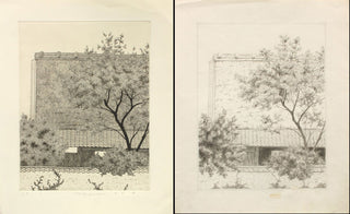 Tree aand rooftop 1