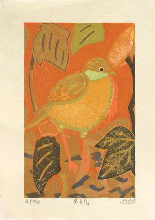 Bird gazing