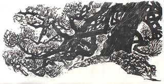 Pine tree
