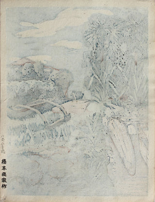 Yaene auf der Insel Hachijo