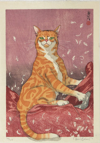 Katzenfedern Rot