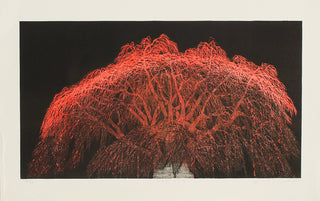 Weeping Sawara (Cypress)