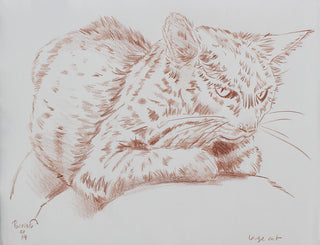 Large cat