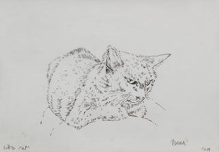 Gatito