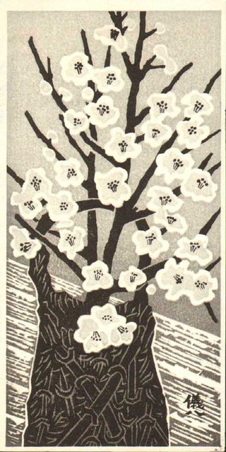 Cerisier en fleurs