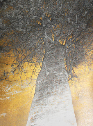 Copa alta del árbol B