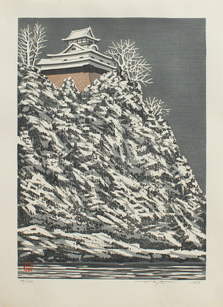 Le château de Nagoya en hiver