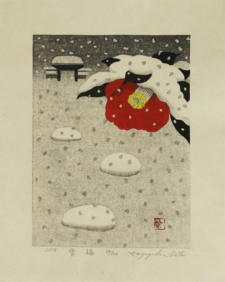 Snow camelia