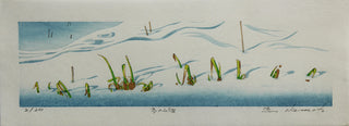 Mountain field in winter