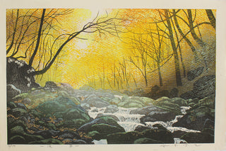 Paysage d'arbres, de lumière et de vent