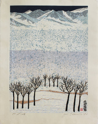 Hokuetsu snow field