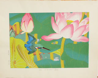 Loto carmesí y martín pescador