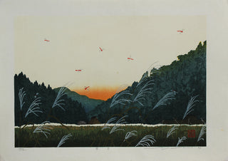 Cielo rojo