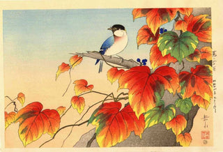 Japanese Ivy and Titmouse