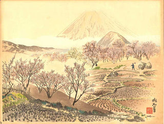 Le mont Fuji vu du verger de pruniers de Shimosoga