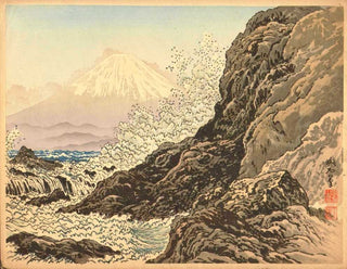 Le mont Fuji vu depuis l'île d'Enoshima