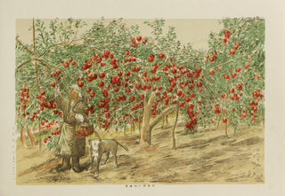 Picture album of Aomori Prefecture