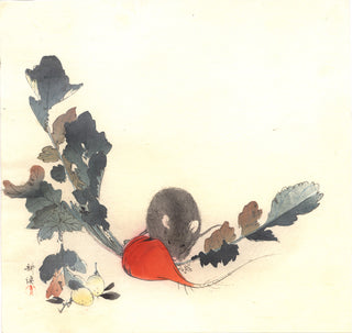 Muis en radijs