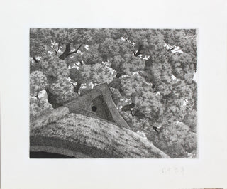 Grand arbre