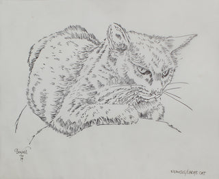 Némesis/Gato grande