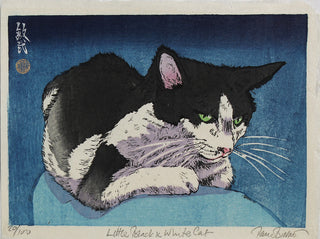 Kleine schwarz-weiße Katze