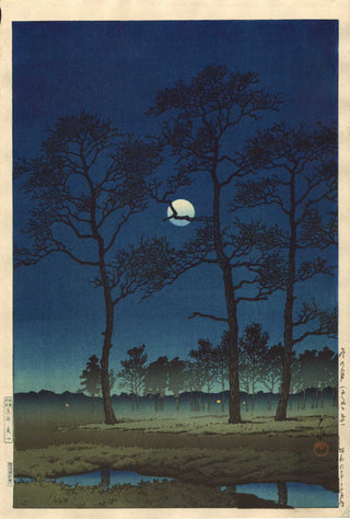 Winter moon over Toyoma Plain