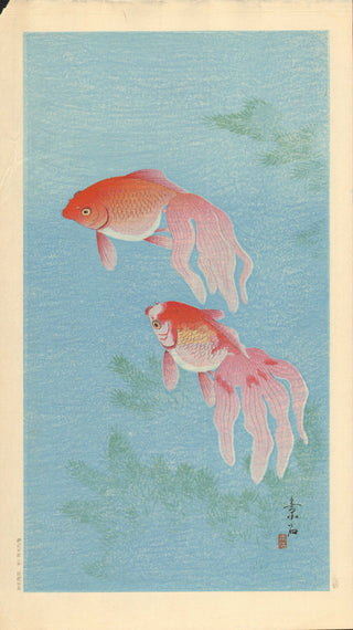 Goldfishes